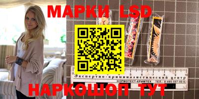 spice Камышлов