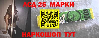 spice Камышлов