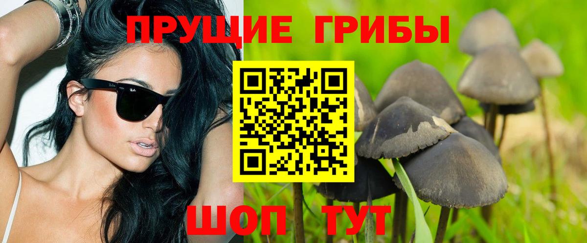 Псилоцибиновые грибы мицелий Курчалой