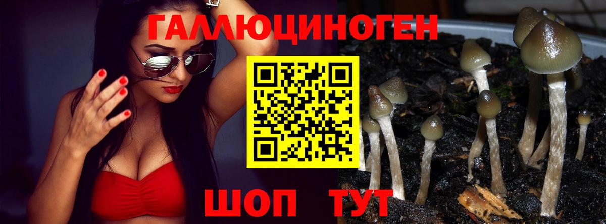 Псилоцибиновые грибы прущие грибы  Галлюциногенные грибы GOLDEN TEACHER  Вход с VPN  Курчалой 